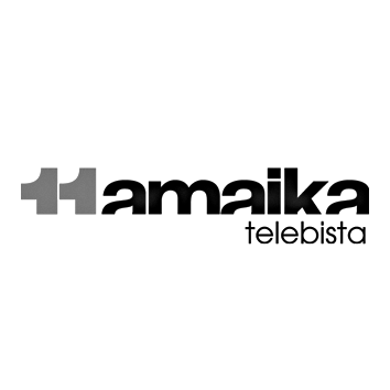 Logo Hamaika Telebista